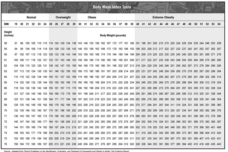 Bmi Chart Pounds And Feet